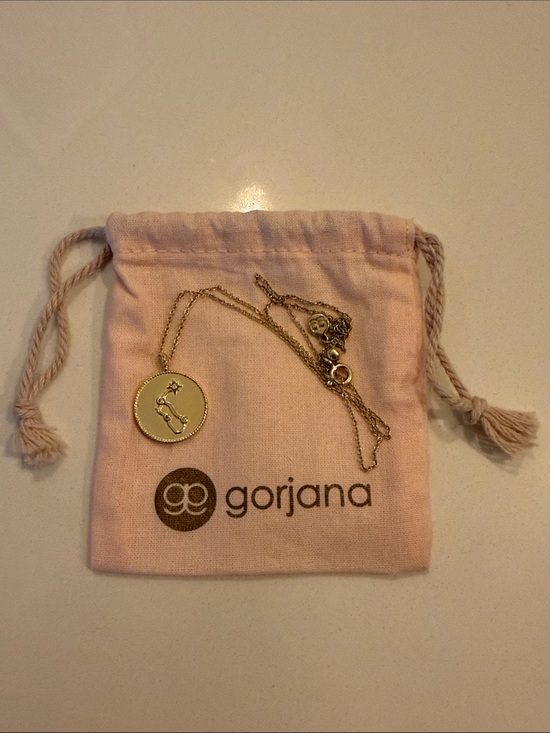 Gorjana Jewelry - Gorjana Aquarius Gold Zodiac Disc Necklace